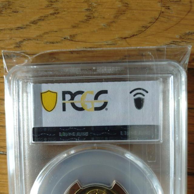 ̒@pd݁@PCGSMS65  zr[ 