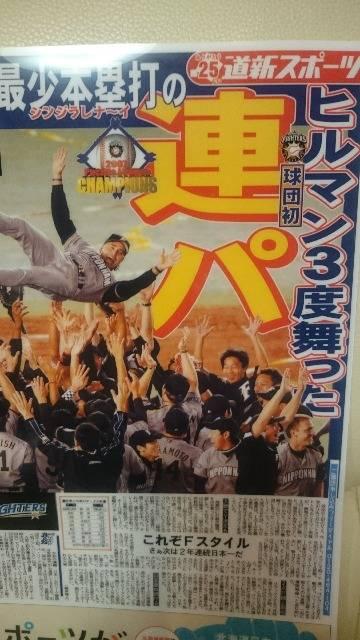 gp A n VX|[c ʋL^ NAt@C q}ē 2007  W[/X|[c 