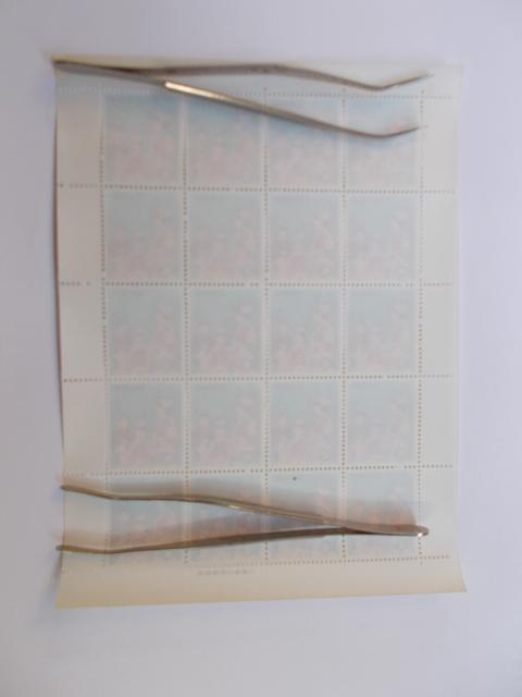 ygpzNsV[Y@܎O@PV[g  zr[ 