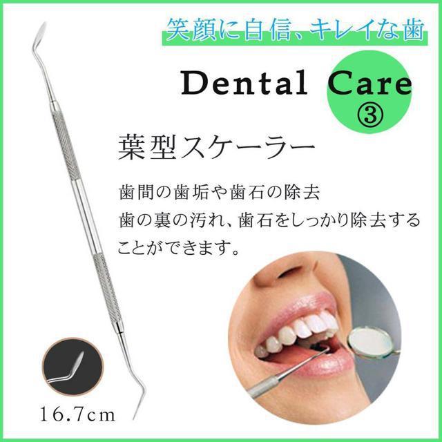 歯石取り 器具 セット スケーラー デンタルケア 自分で 歯垢 ヤニ 除去 口臭予防 < ヘルス/ビューティー  歯石取り 器具 セット スケーラー デンタルケア 自分で 歯垢 ヤニ 除去 口臭予防 < ヘルス/ビューティーの