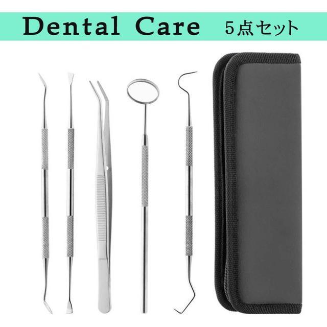 歯石取り 器具 セット スケーラー デンタルケア 自分で 歯垢 ヤニ 除去 口臭予防 < ヘルス/ビューティー  歯石取り 器具 セット スケーラー デンタルケア 自分で 歯垢 ヤニ 除去 口臭予防 < ヘルス/ビューティーの