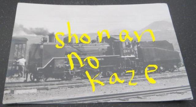 ԂbTUXP̋MdȌ̎ʐ^   zr[ 