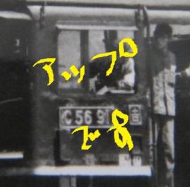 ԂbTUXP̋MdȌ̎ʐ^  zr[ 