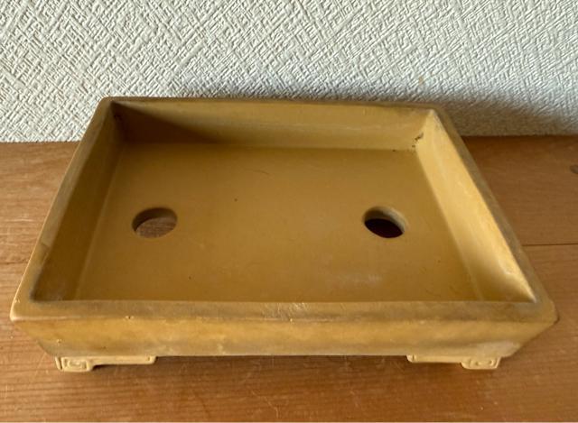 ミニ盆栽鉢 山嵐製陶 松盆栽 小品盆栽 寄せ植え 落款印あり 黄色の長方形水鉢 < ペット/手芸/園芸  ミニ盆栽鉢 山嵐製陶 松盆栽 小品盆栽 寄せ植え 落款印あり 黄色の長方形水鉢 < ペット/手芸/園芸の