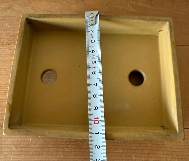 ミニ盆栽鉢 山嵐製陶 松盆栽 小品盆栽 寄せ植え 落款印あり 黄色の長方形水鉢 < ペット/手芸/園芸  ミニ盆栽鉢 山嵐製陶 松盆栽 小品盆栽 寄せ植え 落款印あり 黄色の長方形水鉢 < ペット/手芸/園芸の