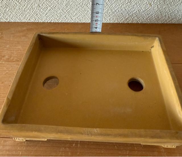 ミニ盆栽鉢 山嵐製陶 松盆栽 小品盆栽 寄せ植え 落款印あり 黄色の長方形水鉢 < ペット/手芸/園芸  ミニ盆栽鉢 山嵐製陶 松盆栽 小品盆栽 寄せ植え 落款印あり 黄色の長方形水鉢 < ペット/手芸/園芸の
