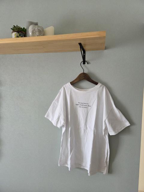 COLZA/uEXTVc̐ViQ_Zbg