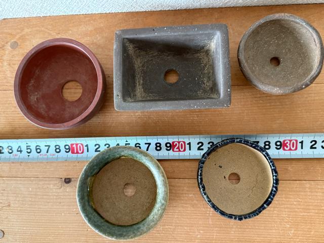 M 盆栽鉢 豆盆栽鉢 山野草鉢 多肉植物鉢 植木鉢 5鉢セット陶器製 落款印あり < ペット/手芸/園芸 M 盆栽鉢 豆盆栽鉢 山野草鉢 多肉植物鉢 植木鉢 5鉢セット陶器製 落款印あり < ペット/手芸/園芸の