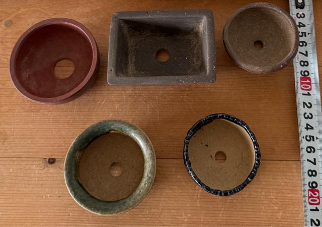 M 盆栽鉢 豆盆栽鉢 山野草鉢 多肉植物鉢 植木鉢 5鉢セット陶器製 落款印あり < ペット/手芸/園芸 M 盆栽鉢 豆盆栽鉢 山野草鉢 多肉植物鉢 植木鉢 5鉢セット陶器製 落款印あり < ペット/手芸/園芸の