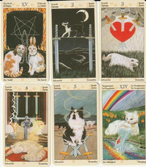 �L�����`�[�t�ɂ����A�_��I�ȕ��͋C�̃A�[�g�^���b�g�J�[�h�i�肢�p�f�b�L�j Tarot �˂� Cat �L���b�g �肢 �� �z�r�[�� 