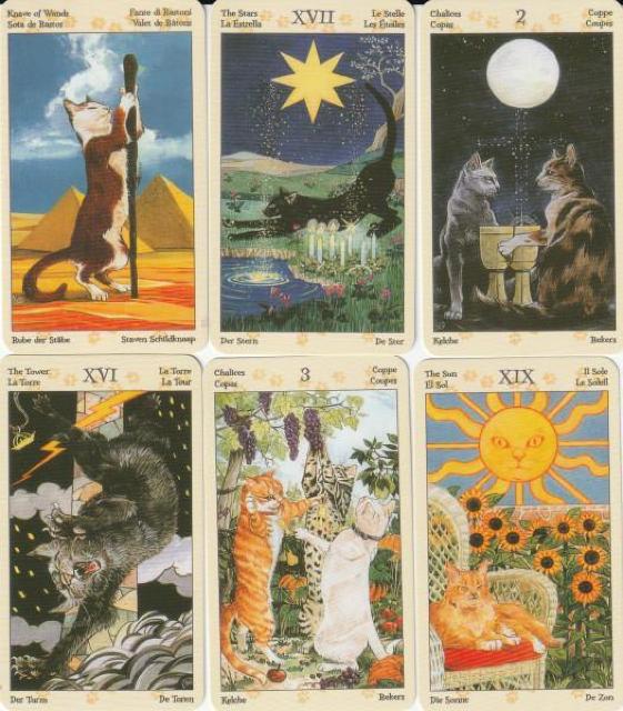 �L�����`�[�t�ɂ����A�_��I�ȕ��͋C�̃A�[�g�^���b�g�J�[�h�i�肢�p�f�b�L�j Tarot �˂� Cat �L���b�g �肢 �� �z�r�[�� 