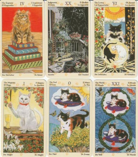 �L�����`�[�t�ɂ����A�_��I�ȕ��͋C�̃A�[�g�^���b�g�J�[�h�i�肢�p�f�b�L�j Tarot �˂� Cat �L���b�g �肢 �� �z�r�[�� 