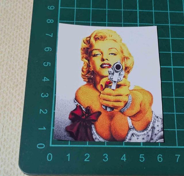 �}�������E�������[�@���e�@�X�e�b�J�[  �� �z�r�[�� 