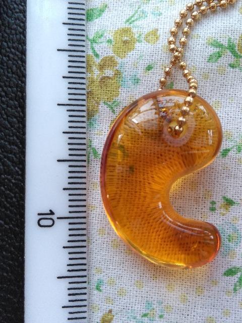 �V�g�������ʁ@�i�����菝����j  �� �z�r�[�� 