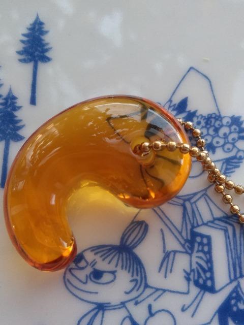 �V�g�������ʁ@�i�����菝����j �� �z�r�[�� 