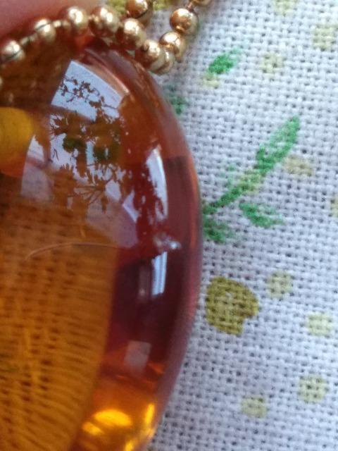 �V�g�������ʁ@�i�����菝����j �� �z�r�[�� 