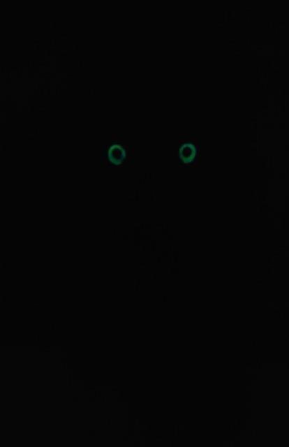 nhCh||}XRbgJ{`inL񁙇A  ybg/|/| 