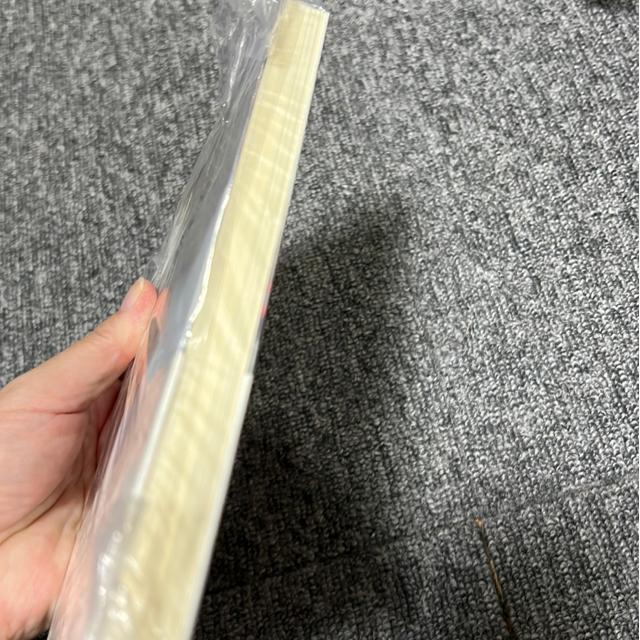 lvɏo܂Ł@Ǖ  {/G 