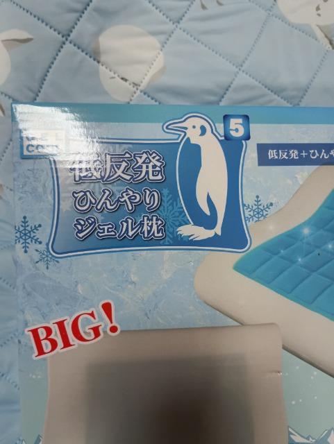 �ᔽ���Ђ���W�F�����A���g�p�i