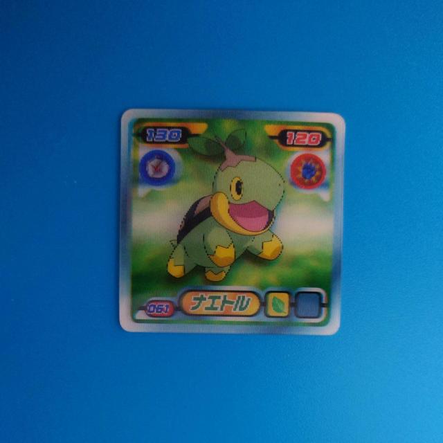 �i�G�g���@�|�P�����V�[����`3D  �� �A�j��/�R�~�b�N/�L�����N�^�[�� 