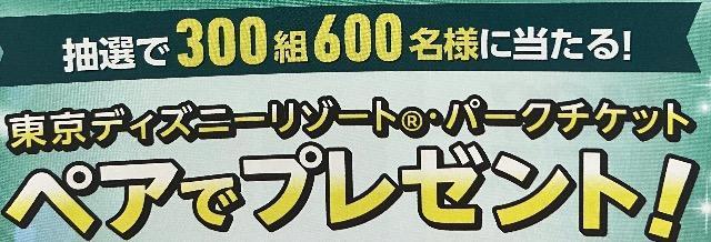 �Z���^�C�A�b�v���f�B�Y�j�[���]�[�g�p�[�N�y�A�`�P�b�g/300�g600���l3�� �� �`�P�b�g/������ 