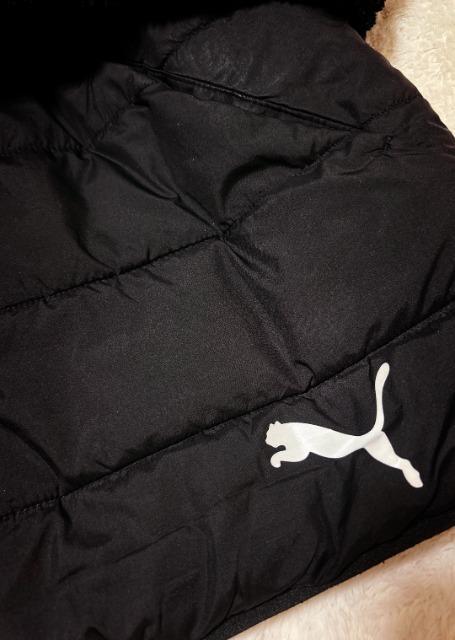 ���j�����p//PUMA//�W���P�b�g�� �� �u�����h�� 