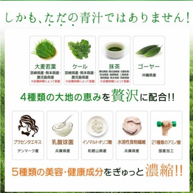 �P���̐` �v���Z���^���� 30�� ���_�� �H���@�� �h�����N ���N�H�i