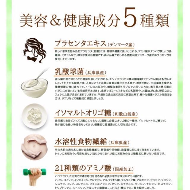 �P���̐` �v���Z���^���� 30�� ���_�� �H���@�� �h�����N ���N�H�i