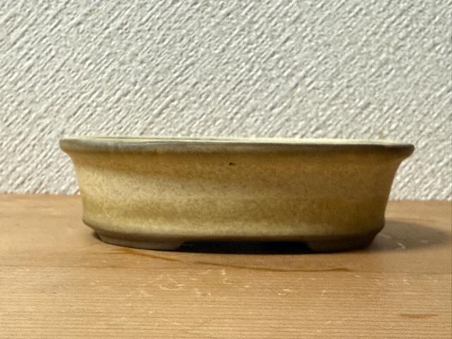 ミニ盆栽鉢 落款植木鉢 丸鉢 植木 盆栽鉢 観葉植物 落款印あり < ペット/手芸/園芸  ミニ盆栽鉢 落款植木鉢 丸鉢 植木 盆栽鉢 観葉植物 落款印あり  < ペット/手芸/園芸の