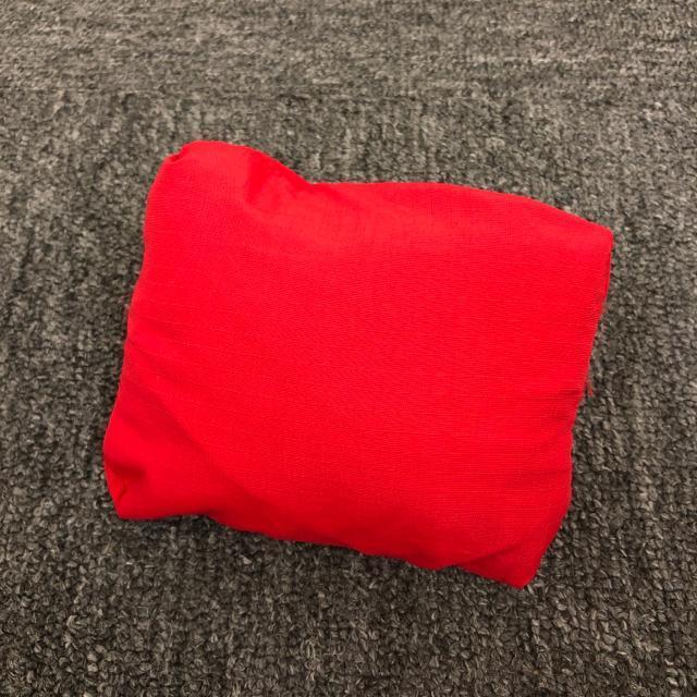 ���� THE NORTH FACE �m�[�X�t�F�C�X �G�R�o�b�O ���b�h �� �u�����h�� 