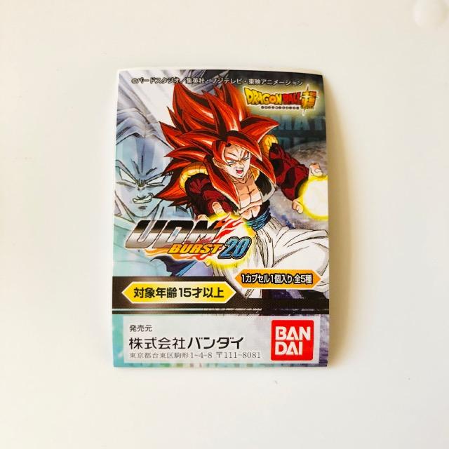 hS{[ UDM BURST  20 TClo[_bNE[m  Aj/R~bN/LN^[ 