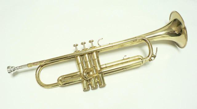 YAMAHA gybgEYTR-233@I   zr[ 