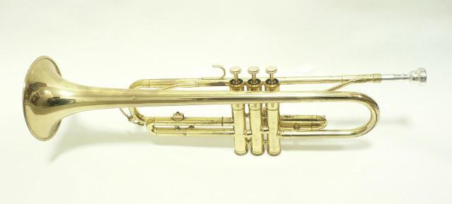 YAMAHA gybgEYTR-233@I  zr[ 