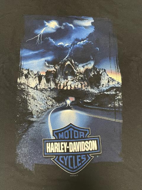 n[[_rbh\@XJ@o[V[h@TVc@ubN@@STCY jp@2005N@USA@Be[W  jt@bV 