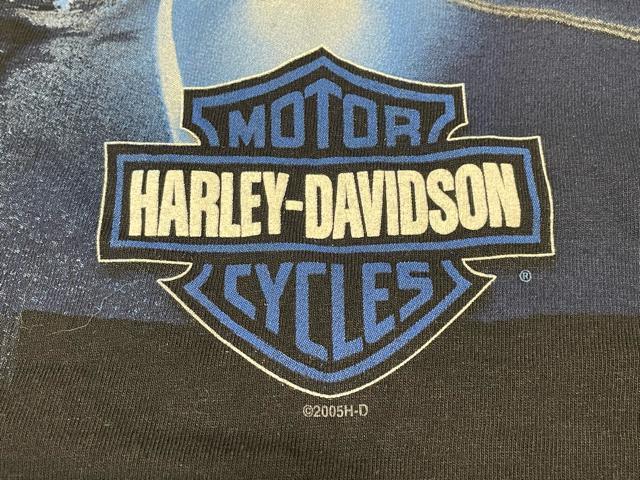 n[[_rbh\@XJ@o[V[h@TVc@ubN@@STCY jp@2005N@USA@Be[W  jt@bV 