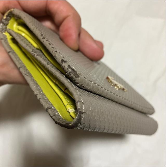 yLACOSTE / RXez O܂z /U[