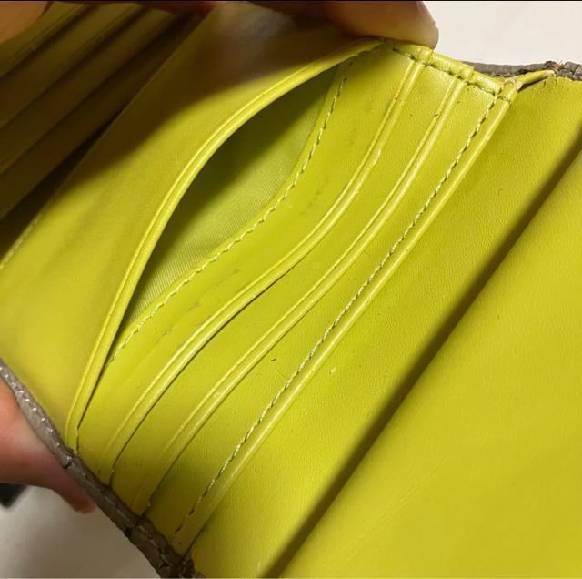 yLACOSTE / RXez O܂z /U[