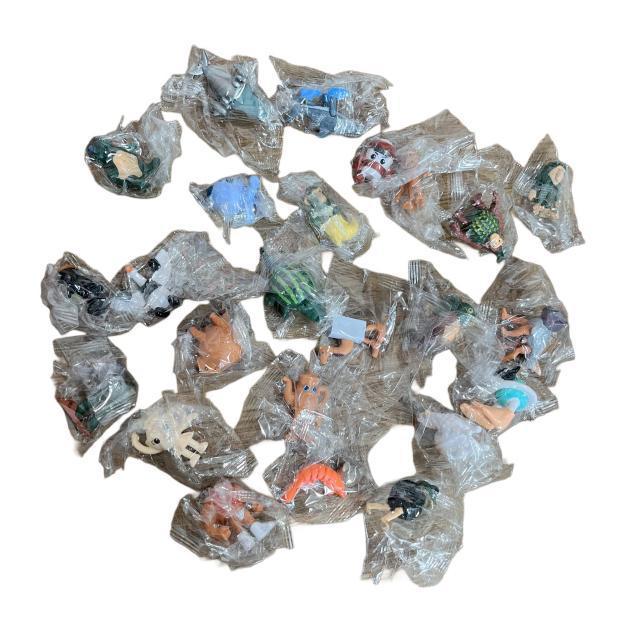 yVigpzC^AuCbg gDgDgDTt[ tBMA  zr[ 