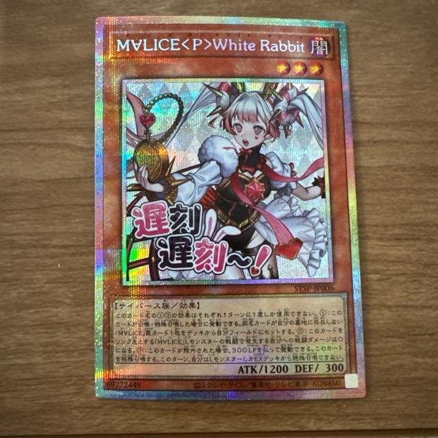 �V�Y��MVLICE<P>White Rabbit  �� �g���[�f�B���O�J�[�h�� 