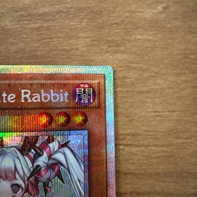 �V�Y��MVLICE<P>White Rabbit �� �g���[�f�B���O�J�[�h�� 