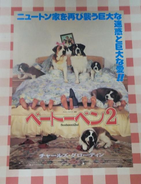 『ベートーベン2』チラシ < ホビー  『ベートーベン2』チラシ  < ホビーの
