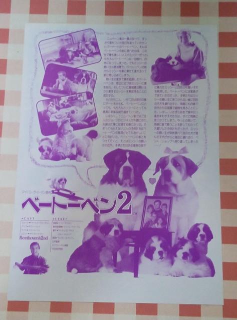 『ベートーベン2』チラシ < ホビー  『ベートーベン2』チラシ < ホビーの