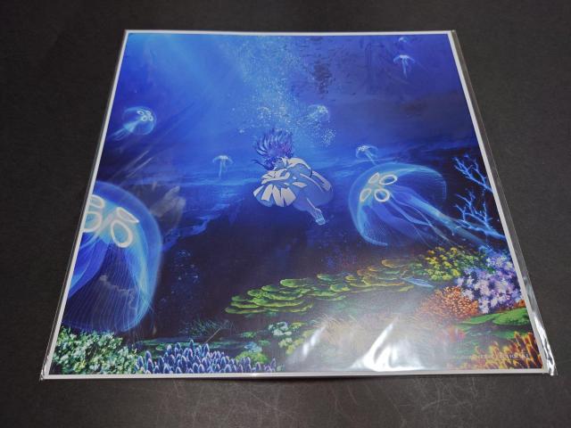 【新品】Amazon.co.jp限定特典 Aimer「花の唄 / I beg you / 春はゆく」メガジャケ / 非売品 エメ < タレントグッズ 【新品】Amazon.co.jp限定特典 Aimer「花の唄 / I beg you / 春はゆく」メガジャケ / 非売品 エメ < タレントグッズの