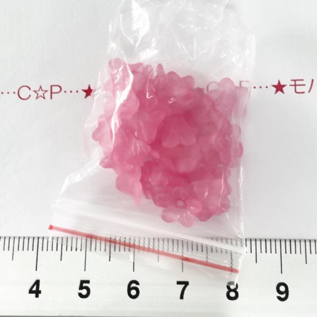 10*�����ʂ����@���؍ҕ��v���r�[�Y�@19 