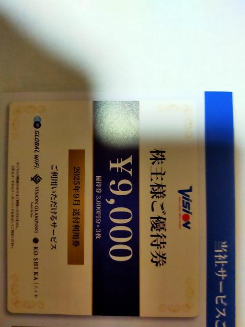 ビジョン株主優待 9000円分 2026.9.30まで < チケット/金券  ビジョン株主優待 9000円分 2026.9.30まで  < チケット/金券の