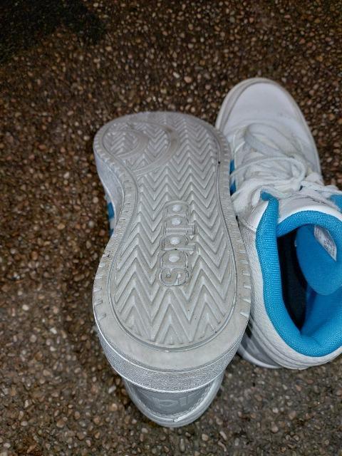 adidas ハイカットスニーカー バッシュ  アディダス  23.5cm < 女性ファッション  adidas ハイカットスニーカー バッシュ  アディダス  23.5cm < 女性ファッションの