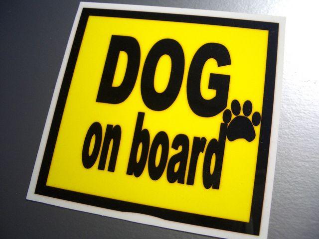 DOG on boardCG[XebJ[Ă܂I  /oCN