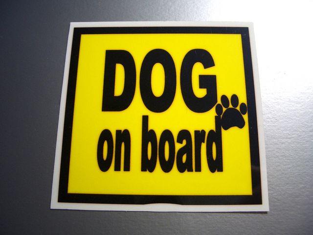 DOG on boardCG[XebJ[Ă܂I  /oCN