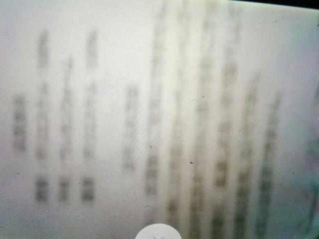クまもンビックリ顔&微笑み中敷カーペット約2畳相当 < おもちゃ  クまもンビックリ顔&微笑み中敷カーペット約2畳相当 < おもちゃの