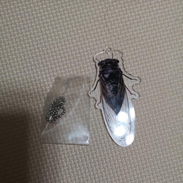 キーホルダー < おもちゃ キーホルダー < おもちゃの